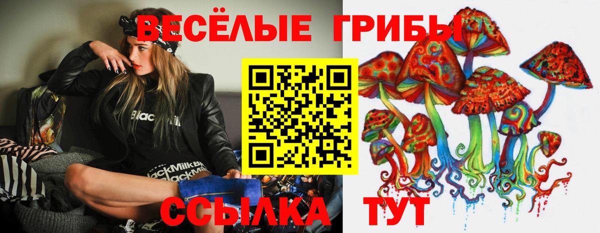 Галлюциногенные грибы Magic Shrooms Черкесск