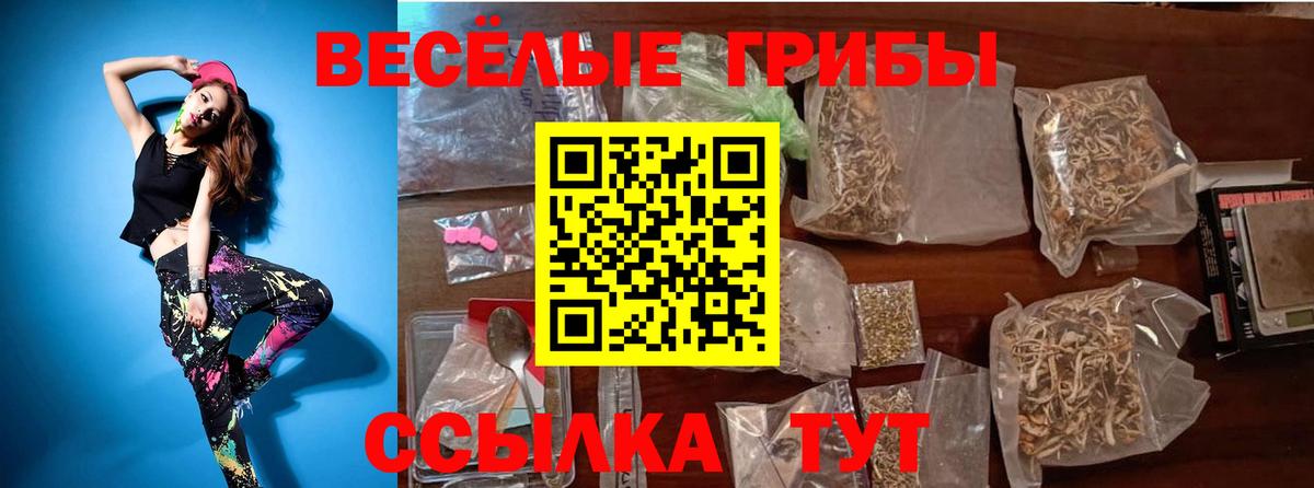 даркнет сайт  Вход с VPN  Черкесск  Псилоцибиновые грибы Cubensis 